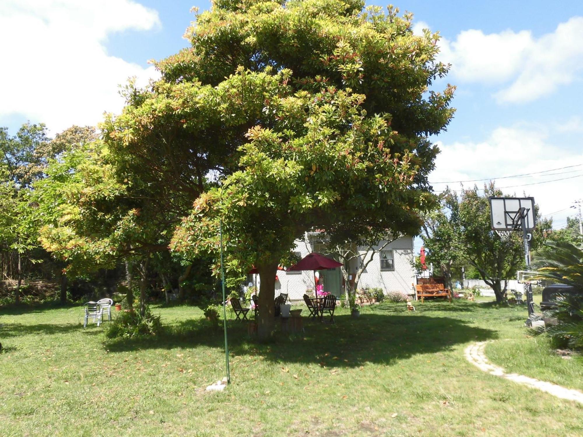 Pension Alba - Vacation Stay 70965V Tateyama  Exterior photo